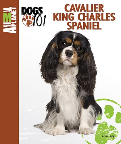 Cavalier King Charles Spaniel (Animal Planet Dogs 101)