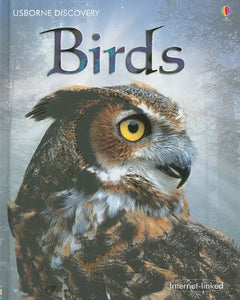 Birds (Usborne Discovery)