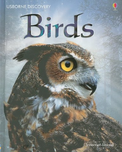 Birds (Usborne Discovery)