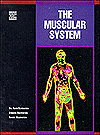 The Muscular System (Human Body Systems)