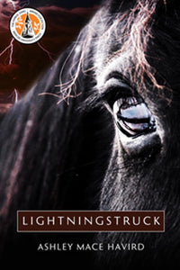 Lightningstruck: A Novel