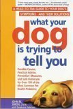 What Your Dog Is Trying to Tell You