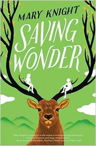 Saving Wonder