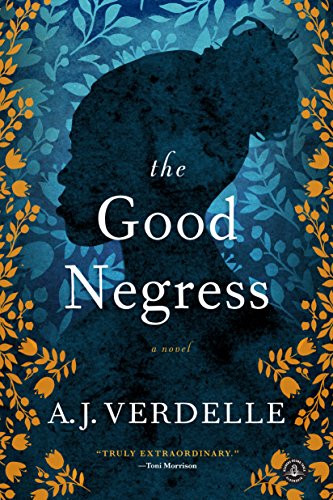 The Good Negress: A Novel