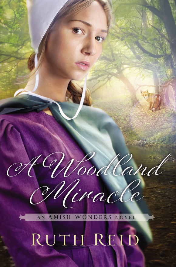 A Woodland Miracle (The Amish Wonders Series)