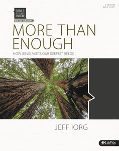 More Than Enough: How Jesus Meets Our Deepest Needs - Bible Study Book