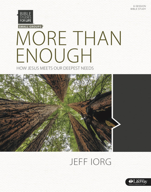 More Than Enough: How Jesus Meets Our Deepest Needs - Bible Study Book