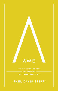 Awe: Why It Matters for Everything We Think, Say, and Do