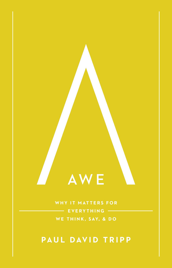 Awe: Why It Matters for Everything We Think, Say, and Do