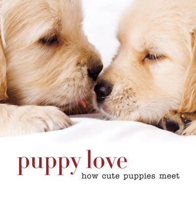 [ PUPPY LOVE: HOW CUTE PUPPIES MEET ] By Sterling Publishing Company ( Author) 2014 [ Hardcover ]