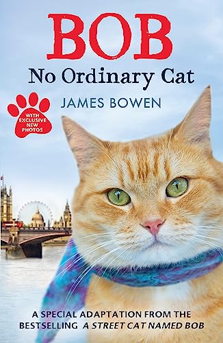 Bob No Ordinary Cat