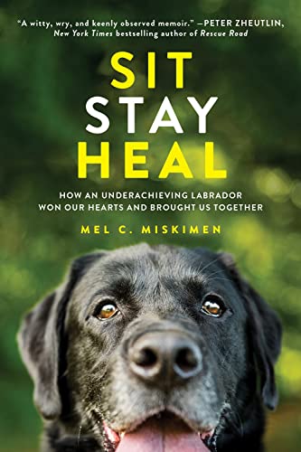 Sit Stay Heal: How an Underachieving Labrador Won Our Hearts and Brought Us Together