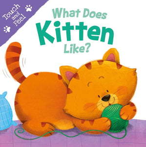 What Does Kitten Like: Touch & Feel Board Book (Touch and Feel)