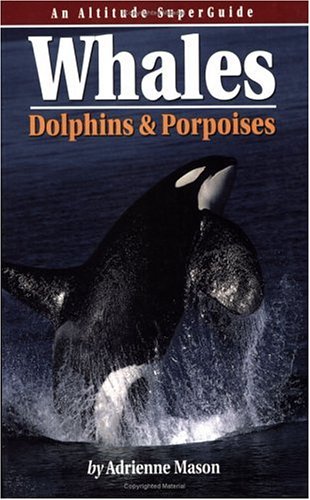 Whales, Dolphins, & Porpoises: An Altitude SuperGuide