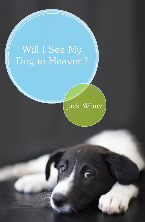 Will I See My Dog In Heaven