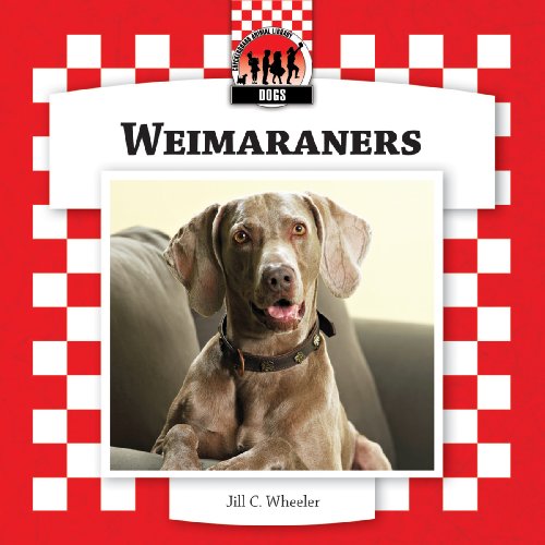 Weimaraners (Checkerboard Animal Library: Dogs) (Dogs Set 8)