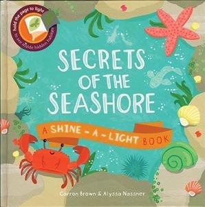 Secrets of the Seashore (Shine-A-Light Book)