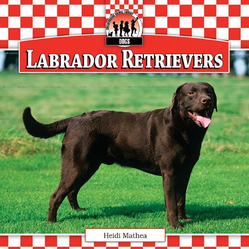 Labrador Retrievers (Dogs)
