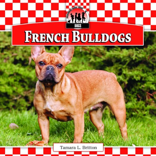 French Bulldogs (Dogs, 10)