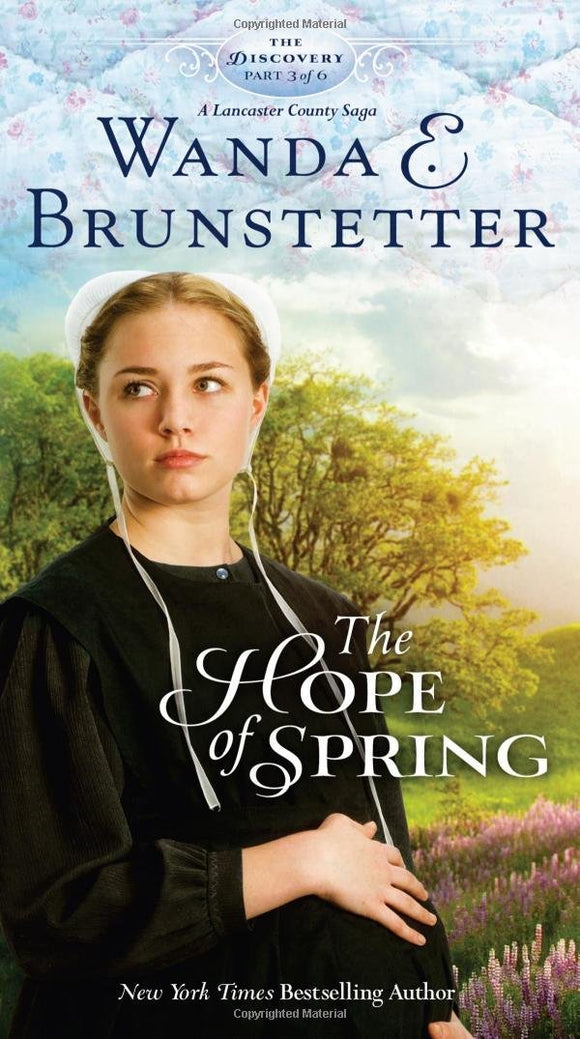 The Hope of Spring: Part 3 (The Discovery - A Lancaster County Saga)