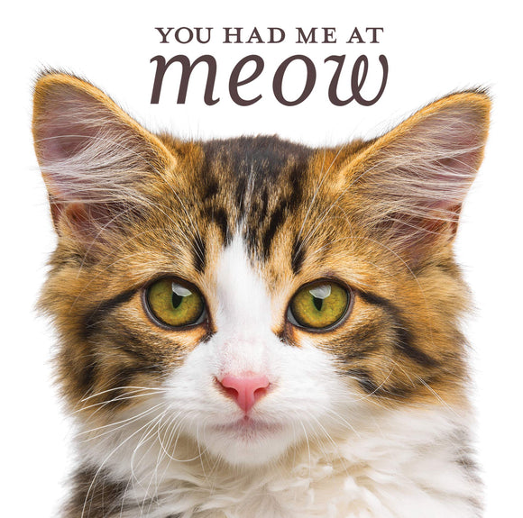 You Had Me at Meow