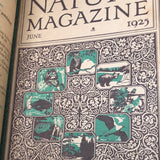 Nature Magazine (1925)