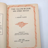 The Glow-worms and Other Beetles