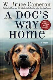 A Dog's Way Home: One Dog's Incredible Journey to Find Her Person - RHM Bookstore