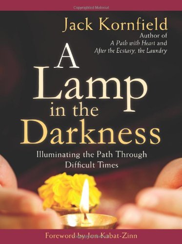 A Lamp in the Darkness: Illuminating the Path Through Difficult Times - RHM Bookstore