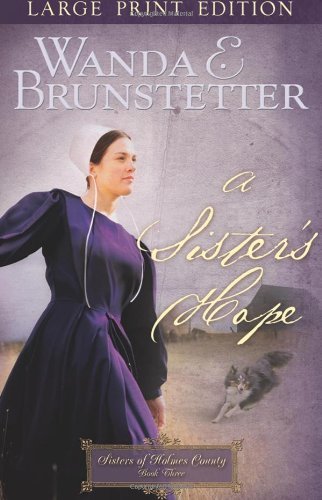 A Sister's Hope (Sisters of Holmes County, Book 3)