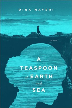 A Teaspoon of Earth and Sea: A Novel