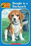 Beagle in a Backpack (Animal Ark Holiday Treasury, No. 45) - RHM Bookstore
