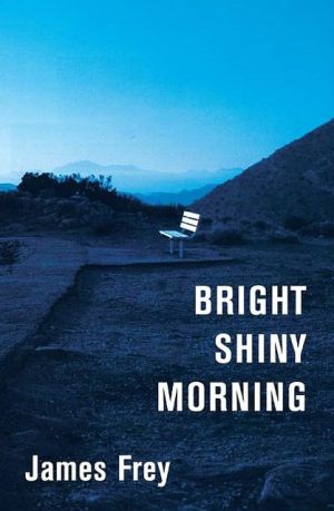 Bright Shiny Morning - RHM Bookstore