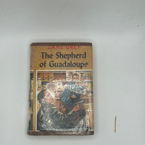 The Shepherd Of Guadaloupe