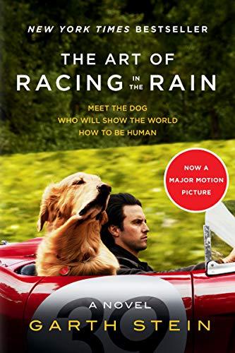 The Art of Racing in the Rain Tie-in: A Novel