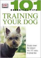 Training Your Dog (101 Essential Tips)