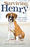 Surviving Henry: Adventures In Loving A Canine Catastrophe