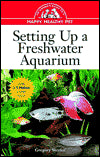 Setting Up a Freshwater Aquarium: An Owner's Guide to a Happy Healthy Pet