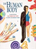 The Human Body: A Fascinating See-Through View of How Our Bodies Work