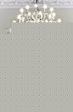 Past Perfect: A Novel
