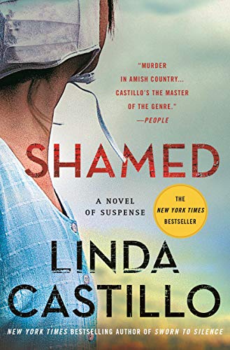 Shamed (Kate Burkholder, 11)