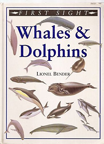 Whales and dolphins (First sight)
