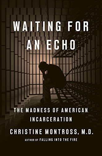 Waiting for an Echo: The Madness of American Incarceration